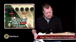 ElectroHarmonix Deluxe Memory Man 550 Tap Tempo [upl. by Airet]