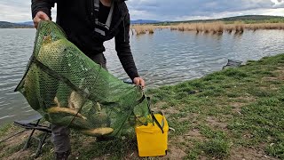 Partida scurta de pescuit la feeder Am prins crap si carasi sălbatici mari inainte de prohibitie [upl. by Rihaz]