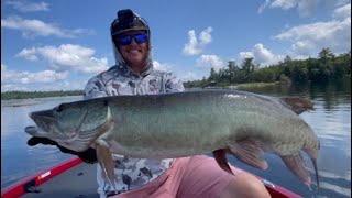 July Lake of the Woods Musky Fishing Boatside Action [upl. by Anita]