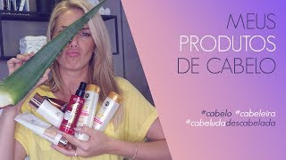 MEUS PRODUTOS DE CABELO  ANA HICKMANN [upl. by Artep200]