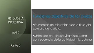 Fisiología digestiva Aves  Segunda parte [upl. by Monahan]