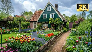 Transformación de una Casa Holandesa con Jardín de Tulipanes en el Frente [upl. by Odnanref]