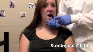 How to Palpate the Salivary Glands [upl. by Atnim]