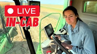 LIVE Harvesting Corn [upl. by Annairda]