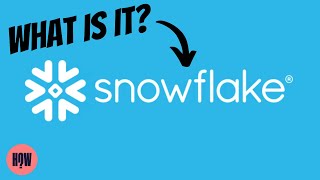 What is Snowflake The Biggest US Software IPO in History [upl. by Atalanti]