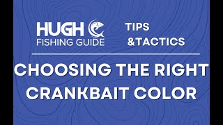 How to Choose The RIGHT Crankbait Color [upl. by Francie]