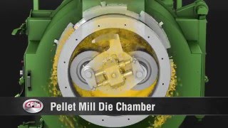 How does a pellet mill work [upl. by Cianca]