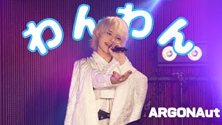 「わんわん」 ARGONAut 2nd Anniversary Live  下北沢シャングリラ [upl. by Anecusa791]