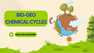 Biogeochemical Cycles  Functions of Ecosystem [upl. by Aneehsit]