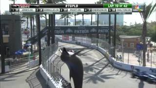 2015 Indy Lights Long Beach [upl. by Spindell]