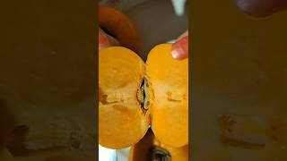 Delicious Persimmon 🤗✌️♥️👍fruit backyardfruits eating nature food satisfying persimmon eat [upl. by Mortie]