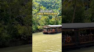 Bohol Loboc River Cruise bohol lobocrivercruise shorts [upl. by Turk]