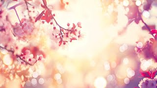 Relaxing Sleep Music • Soft Piano Music for Yoga Meditation Sleep and Relaxation 98 [upl. by Efthim]