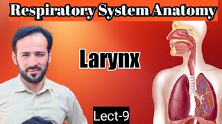 09 Anatomy of larynx  Larynx Anatomy  Membranes ligaments and muscles  Part1 [upl. by Lissa]