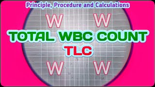 Total Leukocyte Count  TLC Blood Test Procedure  Total WBC Count Experiment [upl. by Letsou]