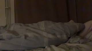 Asmr sleeping snoring [upl. by Lady]