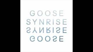 GOOSE  SYNRISE MUMBAI SCIENCE REMIX [upl. by Adnor587]