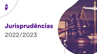 Jurisprudências 20222023 Direito Administrativo  Prof Herbert Almeida [upl. by Tronna]