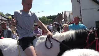 Appleby horse gypsy fair 2023 [upl. by Ardnos]