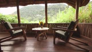 Overview  Bwindi Lodge [upl. by Grati]