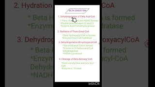 Beta Oxidation 1 saturated fatty acids [upl. by Ysied]