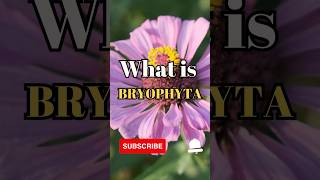 What is Bryophyta shorts facts biology [upl. by Bogoch]