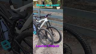 Biking and Horses at Lawton Stables Hilton head island SC Wanna ride a horse mtb shorts horse [upl. by Frederick278]