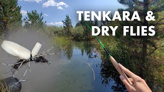 My First Time Fishing with Dry Flies Tenkara Fly Fishing [upl. by Lougheed]