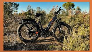 Lankeleisi MG600 Plus 2024 best electric fat bikes [upl. by Notniv]