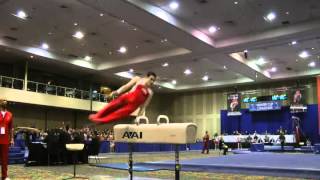 Pommel horse  Russian wendeswing over both pommels E [upl. by Divan246]