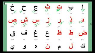 арабский алфавит выучим арабский алфавит и какое правильное произношениеегипет арабскийязык [upl. by Amrac]
