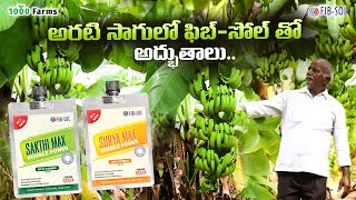 అరటి సాగులో quotఫిబ్సోల్quot అద్భుతాలుFIBSOLbananafarming rythubadiagriculture highyieldfarming [upl. by Dewitt]