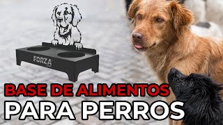 ¡Estación de comida para perros refugiados  ¿Cómo se fabrica un comedero de metal para perros [upl. by Arnoldo418]