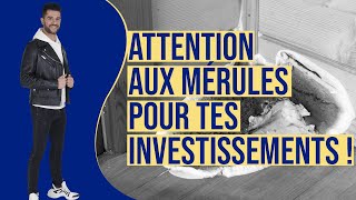 ⛔️ Attention aux Mérules [upl. by Nodnarb144]