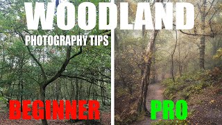 7 Simple Beginner Tips for Woodland Photography [upl. by Fedora]