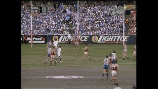 AFL 1998 Grand Final Adelaide Vs North Melbourne [upl. by Franci]