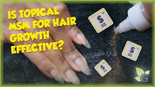 Is TOPICAL MSM for Hair Growth Effective [upl. by Niassuh]