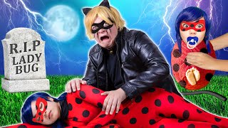 FROM BIRTH TO DEATH OF LADYBUG  FUNNY SUPERHEROES SITUATIONS amp CRAZY MOMENT BY CRAFTY HACKS [upl. by Rehpotisrhc]