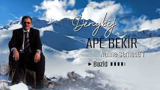 Dengbêj Apê Bekir  Bazîd [upl. by Oiciruam]