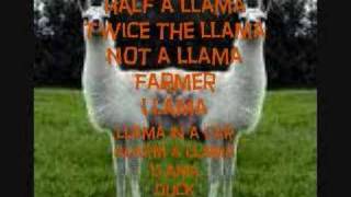 The Llama Song w Lyrics [upl. by Atenek]