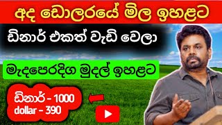 🇱🇰අද ඩොලරයේ මිල  Ada kuwait dinar ekaka mila  dollar rate in sri lanka saudi riyal exchange rate [upl. by Nyvets833]