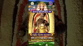 Chandra Prabha vahanam  Srivari Annual Brahmotsavam 2024  10102024  SVBC2 Tamil  SVBC TTD [upl. by Ayrolg]