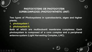 Photosynthesis part 1 Photosystem l and ll [upl. by Arrotal7]