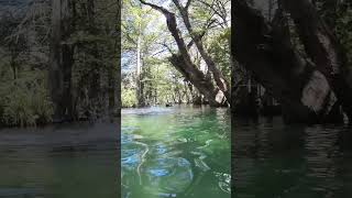 A nice cool break from bike ride at the The Blue Hole in Wimberley TX [upl. by Ronoel936]