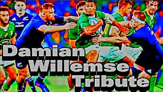 Damian Willemse Tribute  Attacking Springbok FullBack 🏉 SPECTACULAR Tries rugby sports [upl. by Baryram]