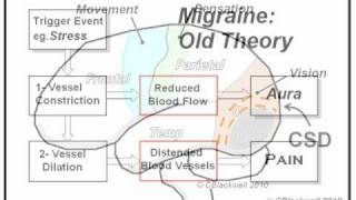 Migraine 1 The Experience [upl. by Whang393]