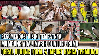 🔴 DISINI TEMPATNYA  SPESIAL WEEKEND RATUSAN EKOR STOKNYA SEMUA DIPROMOKAN 083875536945 [upl. by Lambert]