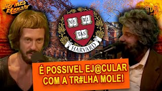 ESSA PESQUISA DE HARVARD VAI TE IMPRESSIONAR [upl. by Tempest105]