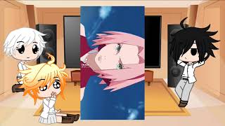 TpnXnaruto tpn react aos pais da EmmaNaruto e Sakura [upl. by Persian464]