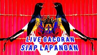 RAJA TAKSAKA CILACAP gacoran prospek [upl. by Ynttirb]